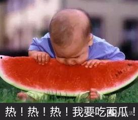 双象吃瓜最新视频,揭秘最新视频中的精彩瞬间与幕后故事