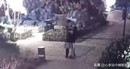 理智吃瓜完整版视频,揭秘网络事件背后的真相与思考