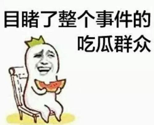 吃瓜群众小六子视频全集,揭秘娱乐圈幕后真相
